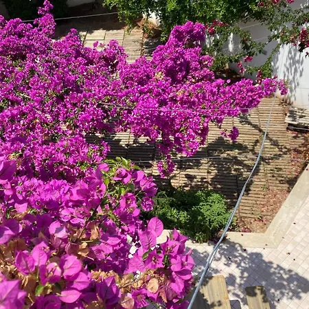 Апартаменты Celi Blu Lizzanello