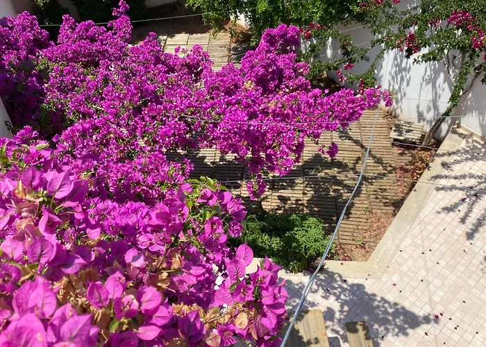 Appartamento Celi Blu Lizzanello